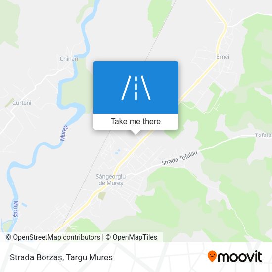 Strada Borzaș map