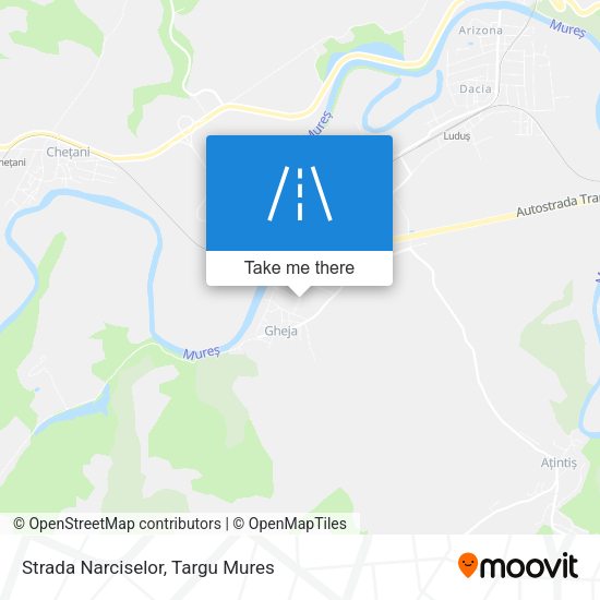 Strada Narciselor map