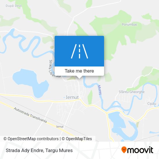 Strada Ady Endre map