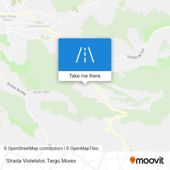 Strada Violetelor map
