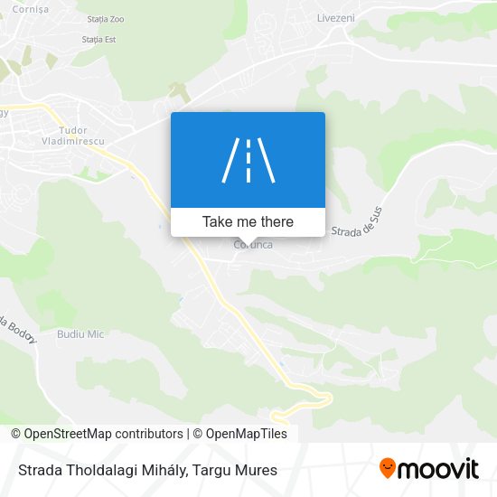 Strada Tholdalagi Mihály map