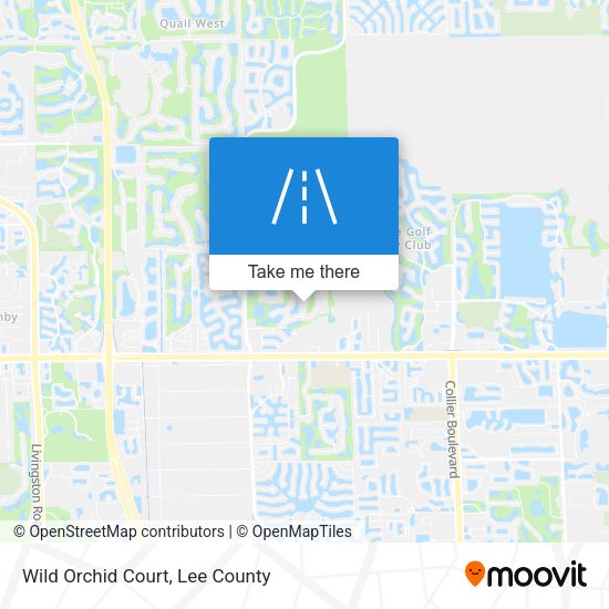Wild Orchid Court map