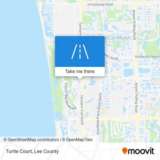 Turtle Court map