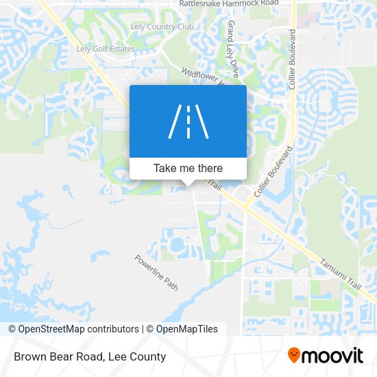 Brown Bear Road map