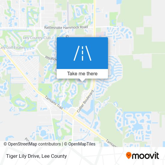Mapa de Tiger Lily Drive