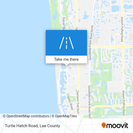 Turtle Hatch Road map