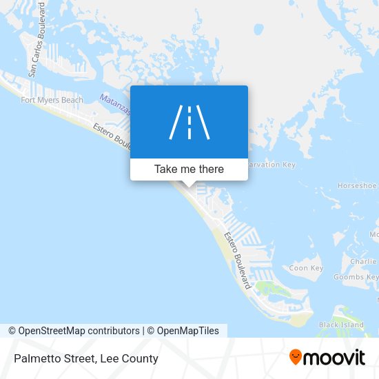 Palmetto Street map