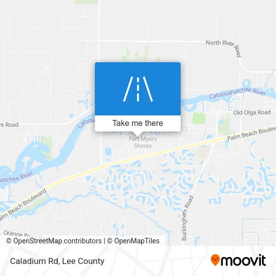 Caladium Rd map