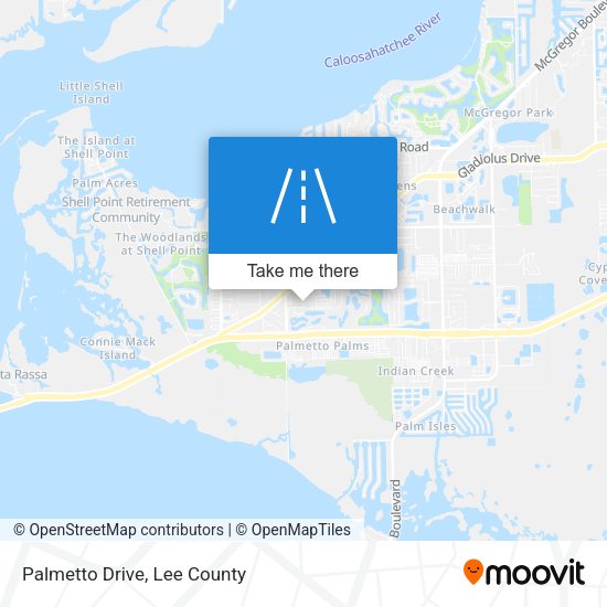 Mapa de Palmetto Drive