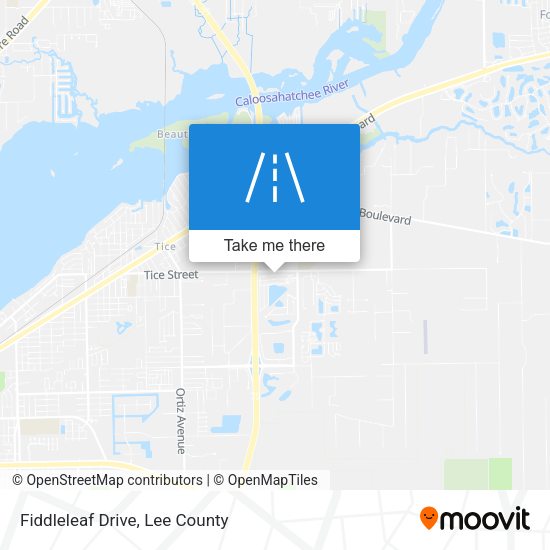 Mapa de Fiddleleaf Drive