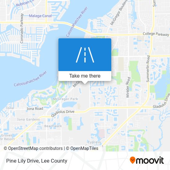 Pine Lily Drive map