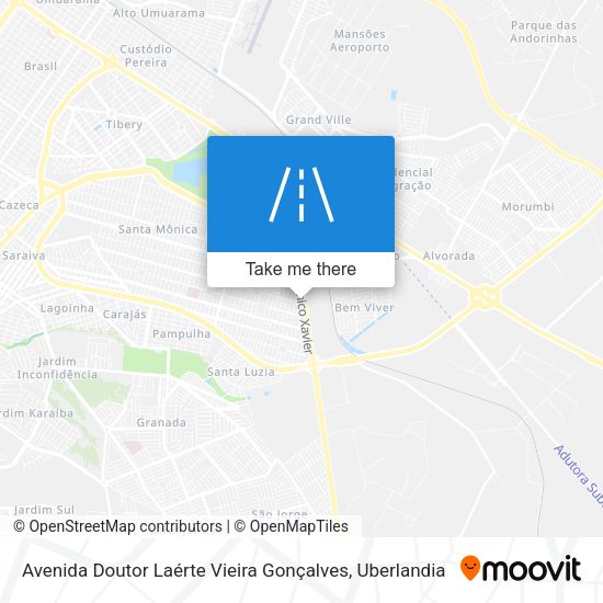 Avenida Doutor Laérte Vieira Gonçalves map