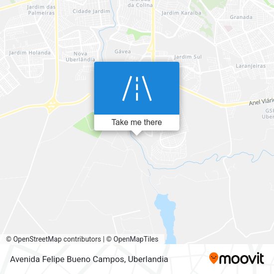 Avenida Felipe Bueno Campos map
