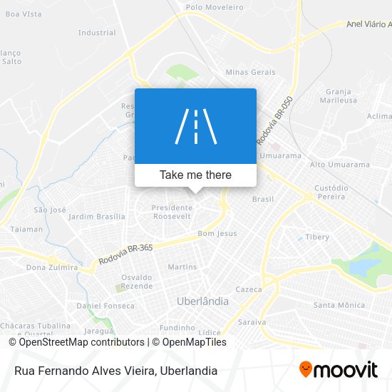 Rua Fernando Alves Vieira map