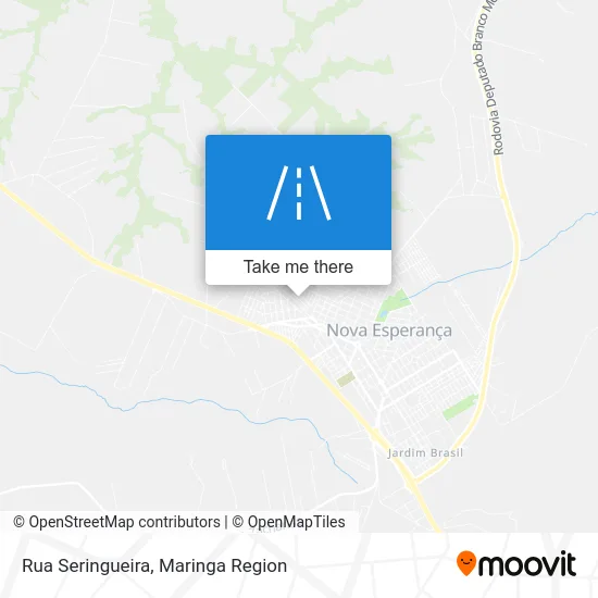 Rua Seringueira map