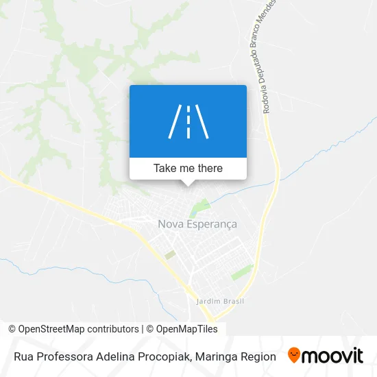 Rua Professora Adelina Procopiak map