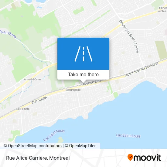 Rue Alice-Carrière map