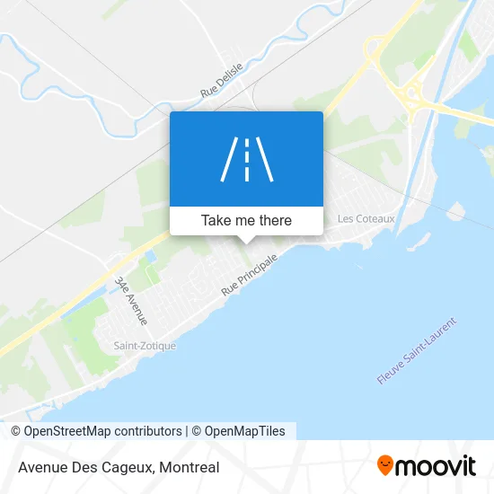 Avenue Des Cageux map