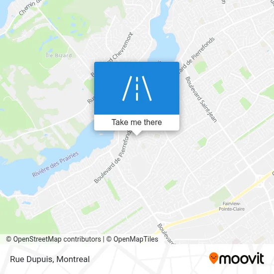 Rue Dupuis map