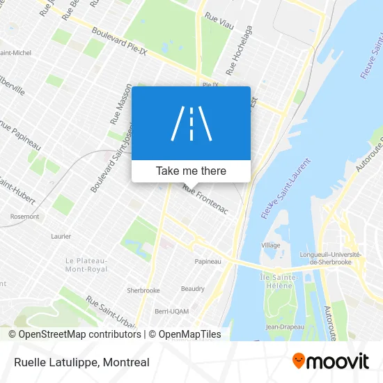 Ruelle Latulippe map