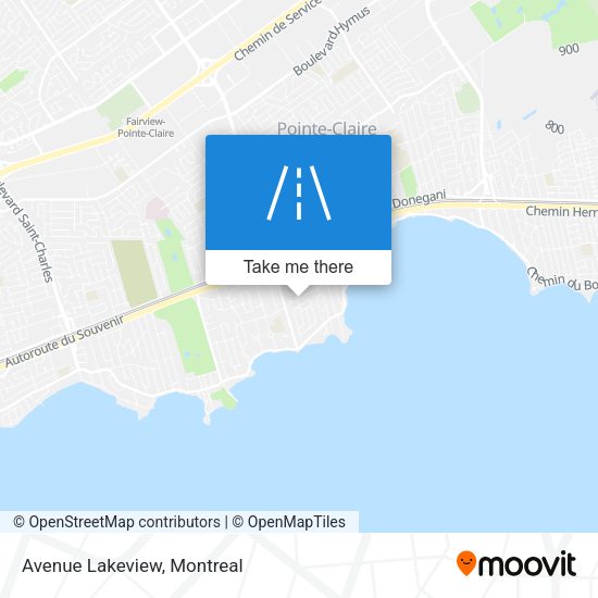 Avenue Lakeview map