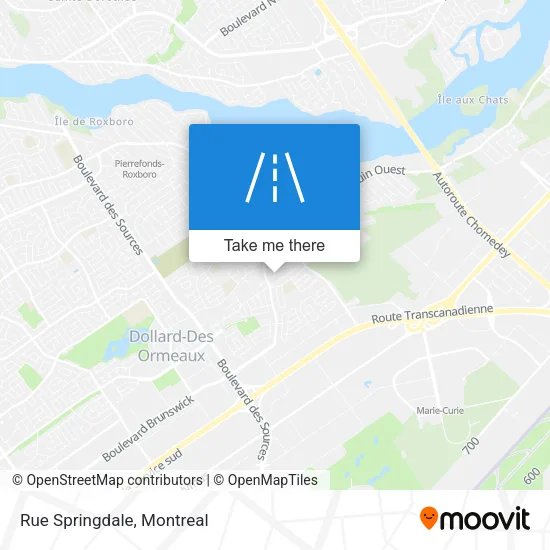 Rue Springdale map