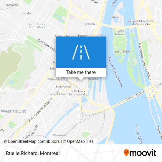 Ruelle Richard map