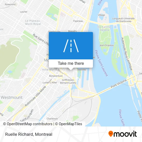 Ruelle Richard map