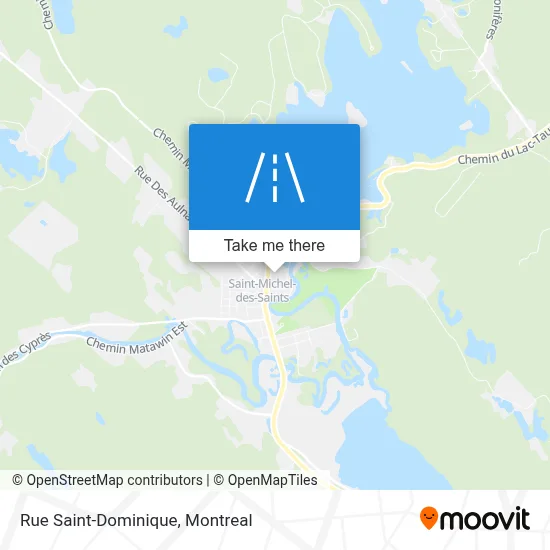 Rue Saint-Dominique map