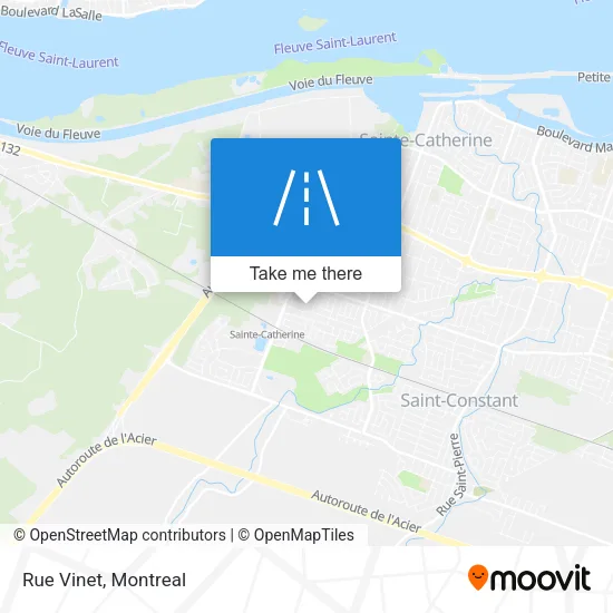 Rue Vinet map