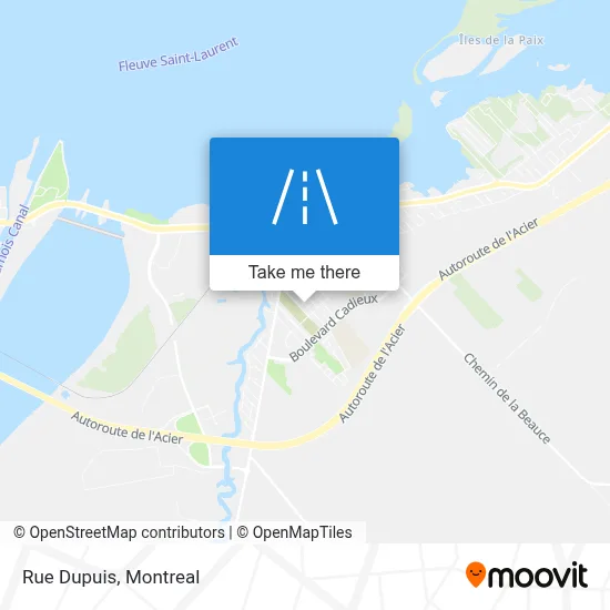 Rue Dupuis map