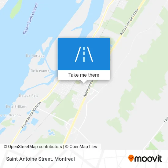 Rue Saint-Antoine map