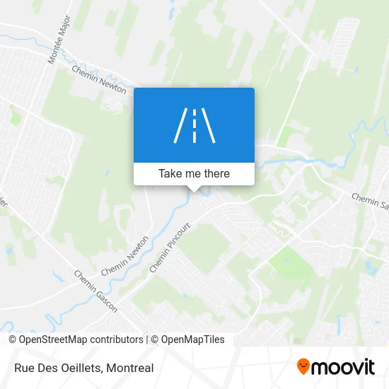 Rue Des Oeillets map