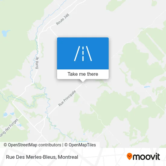 Rue Des Merles-Bleus map
