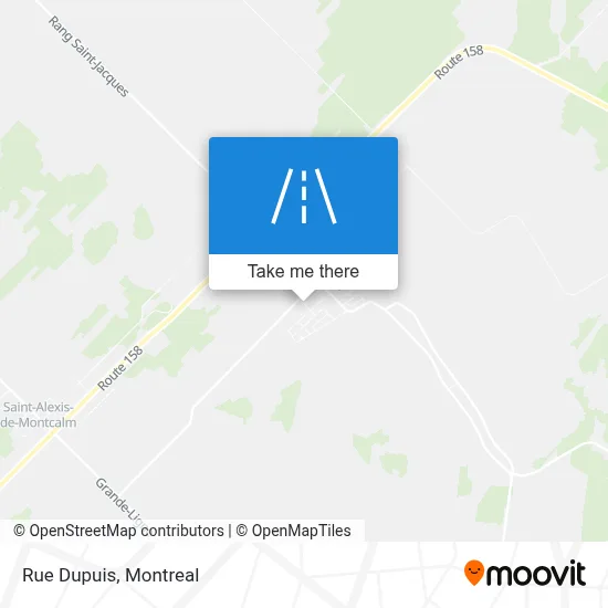 Rue Dupuis map