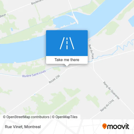 Rue Vinet map