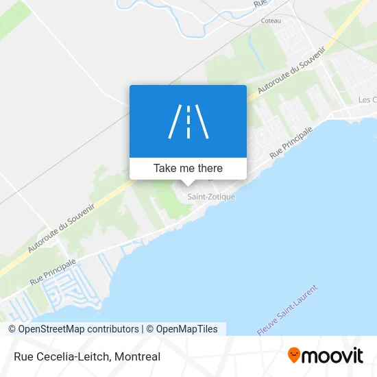 Rue Cecelia-Leitch map