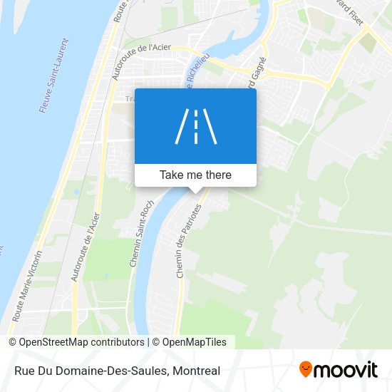Rue Du Domaine-Des-Saules map