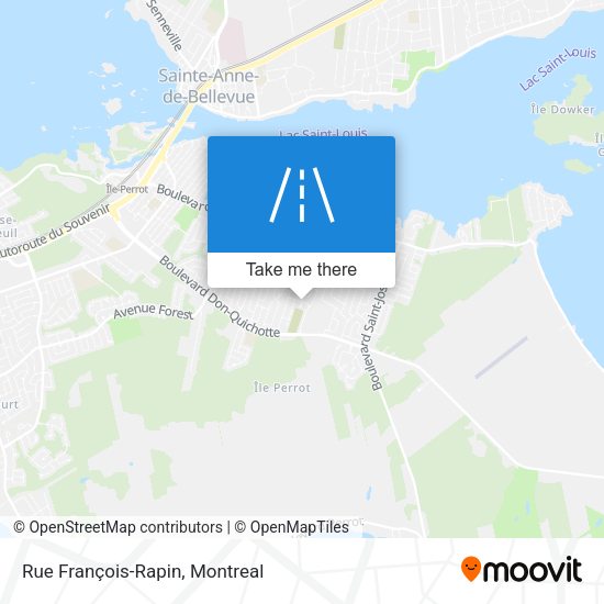 Rue François-Rapin map