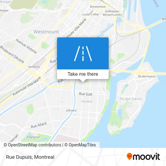 Rue Dupuis map