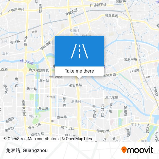 龙表路 map