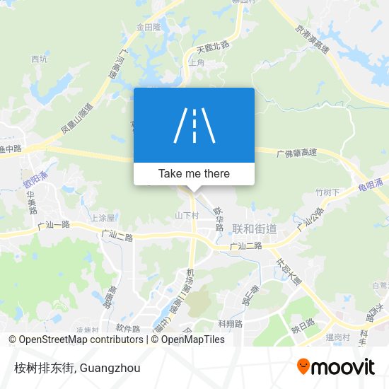 桉树排东街 map
