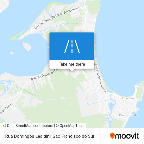 Rua Domingos Lealdini map