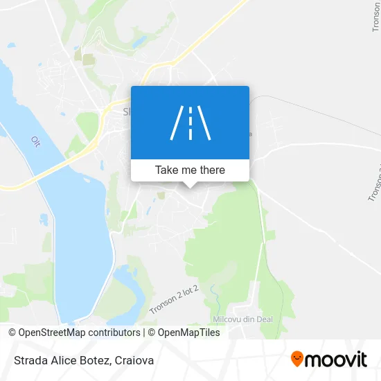 Strada Alice Botez map