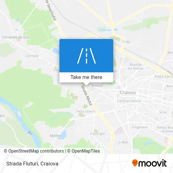 Strada Fluturi map