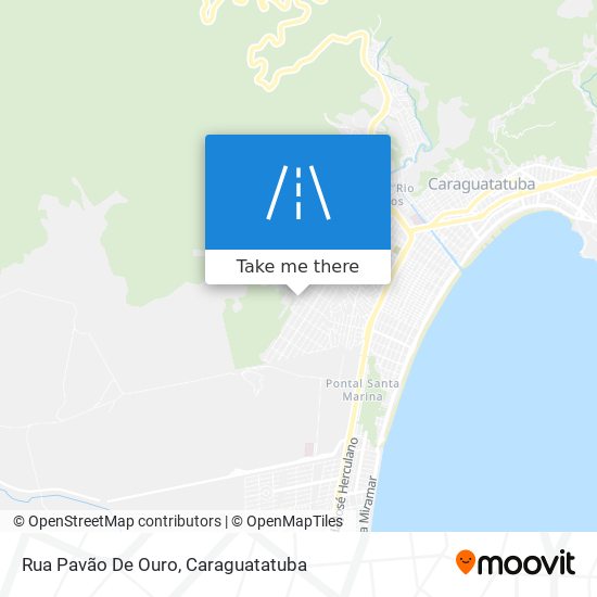 Mapa Rua Pavão De Ouro