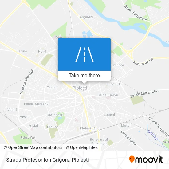 Strada Profesor Ion Grigore map