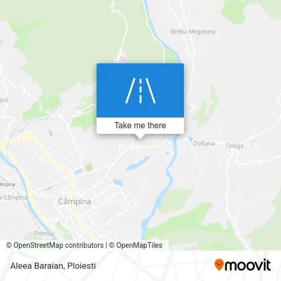 Aleea Baraian map
