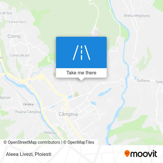 Aleea Livezi map