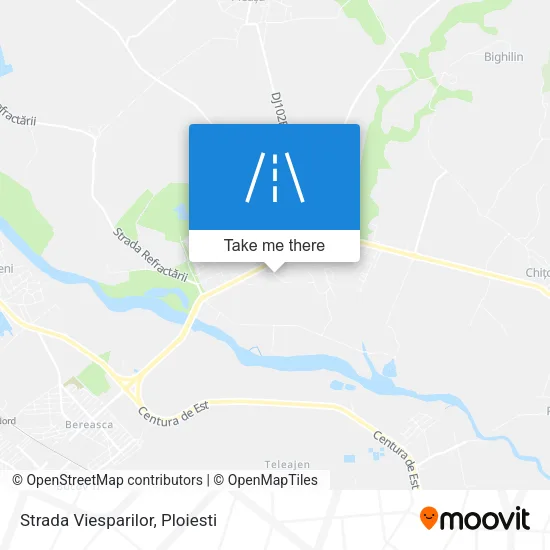 Strada Viesparilor map